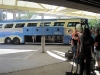 Magic Express Bus